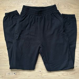 Aritzia Babaton Sweatpants